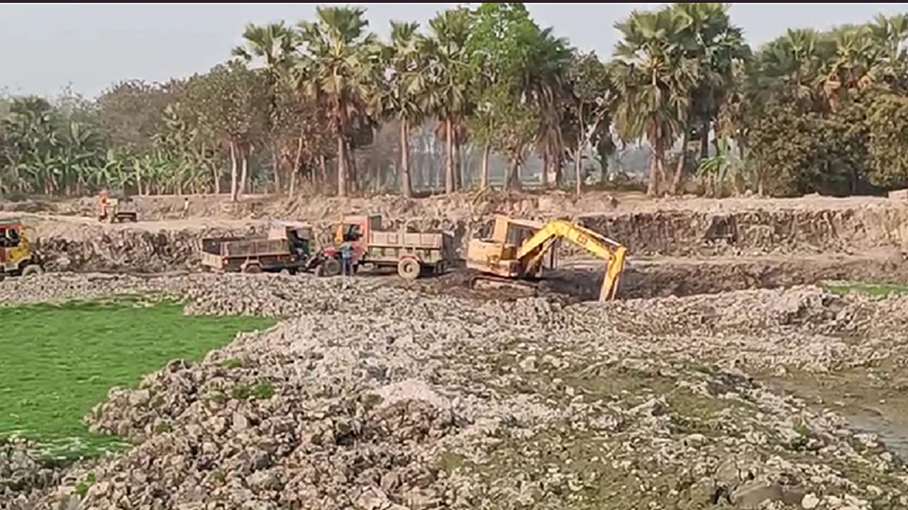 কুষ্টিয়ায় পুকুর সংস্কারের নামে চলছে অবাধে মাটি কাটা, বিক্রি হচ্ছে ইটভাটায়